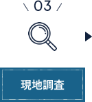 現地調査