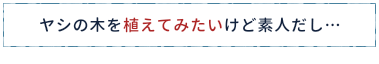 ヤシの木を植えてみたいけど素人だし…